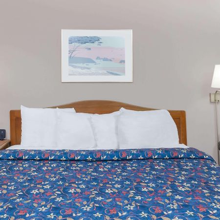Days Inn By Wyndham Seguin Tx Eksteriør bilde